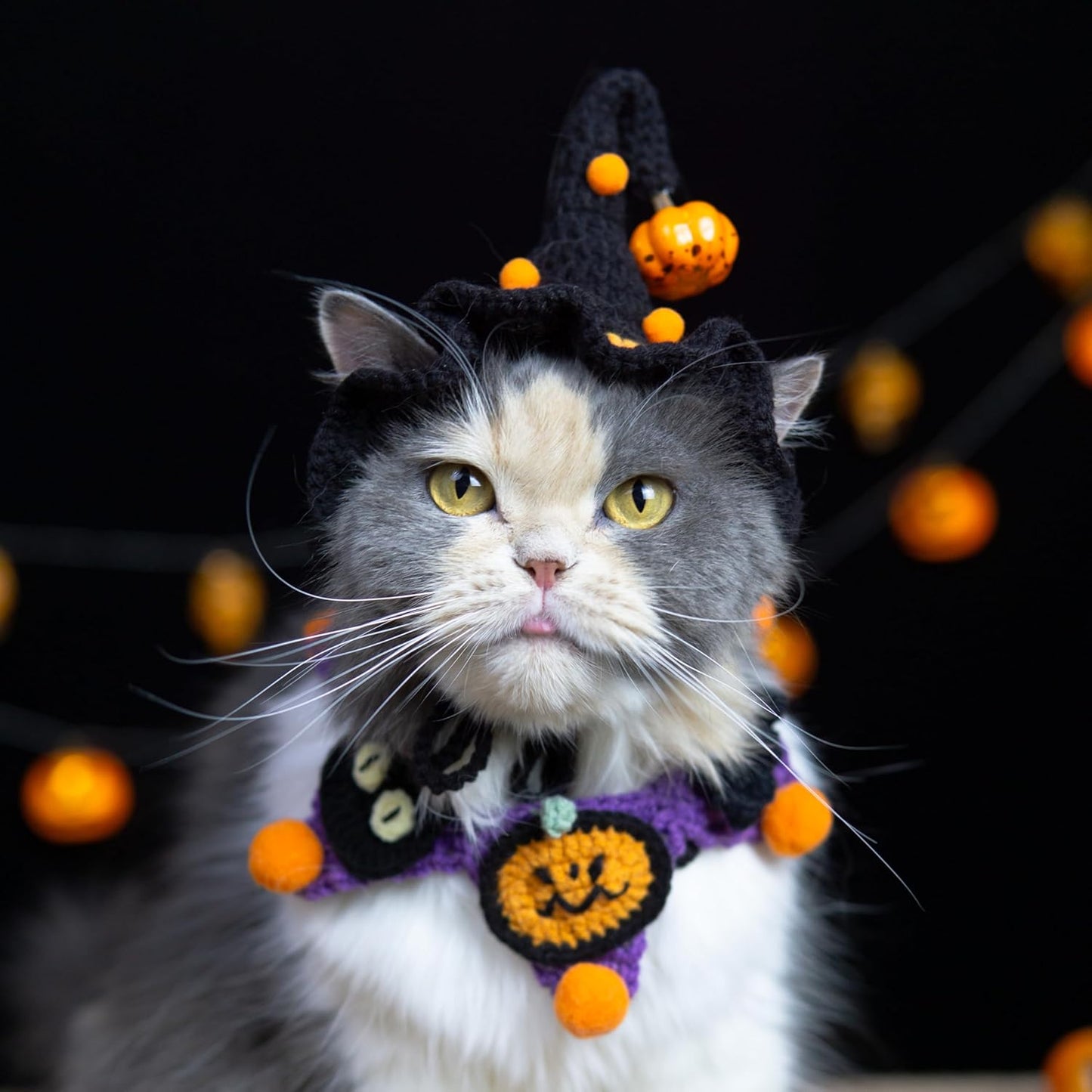 Halloween Dog Costume - Black Witch Hat & Halloween Outfit for Rabbits,Cats and Small Sized Dogs,Handmade Festive Halloween Pet Apparel with Pumpkin Design,Perfect for Dog & Cats (Small to Large size Pets)