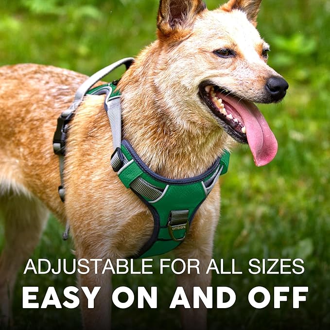 Embark Adventure Dog Harness, Reflective Trim No Pull Dog Harnesses for Small Sized Dogs - Military Grade Nylon, Front Clip with Gel Lined Handle.