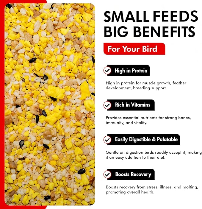 Morning Bird Eggfood 3 lbs (2-Pack, 1.5 lbs Each) – Protein Food with Essential Amino Acids, Vitamins & Minerals – Supports Growth & Feather Health – Ideal Bird Seed for Breeding and All Bird Types