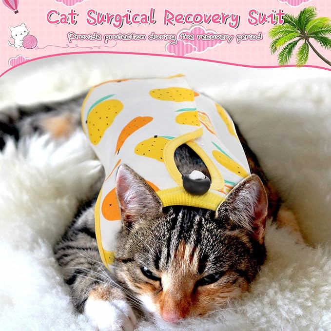Nuanchu 3 Pieces Cat Recovery Suit Kitten Recovery Suit E-Collar Alternative for Cats and Dogs Abdominal Skin Anti Licking Pajama Clothes Sets(Fruit Pattern,Large)
