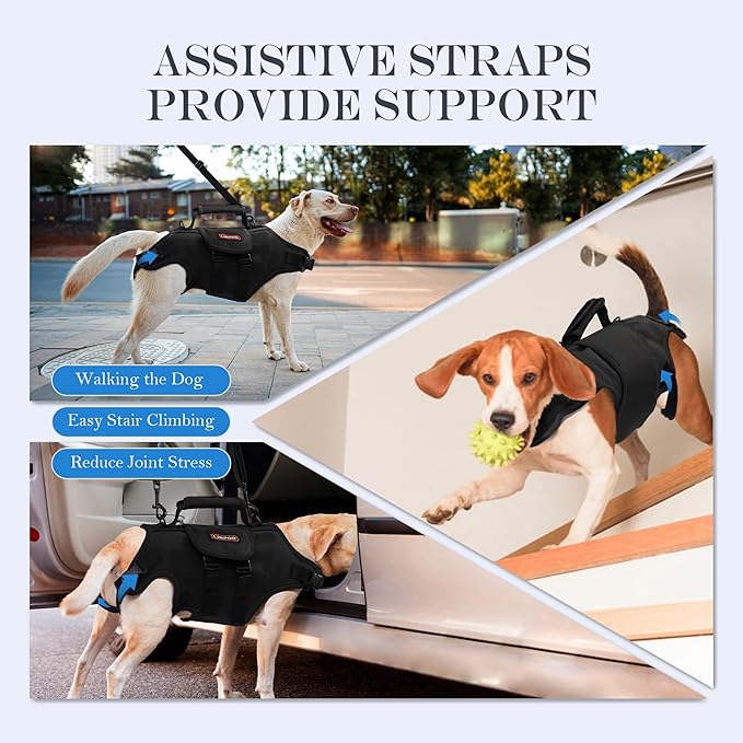 Dog Lift Harness, Full Body Support with Adjustable Control Handle for Medium Senior Dogs, Post-Surgery Recovery & Joint Problems (Oxford Cloth, M)