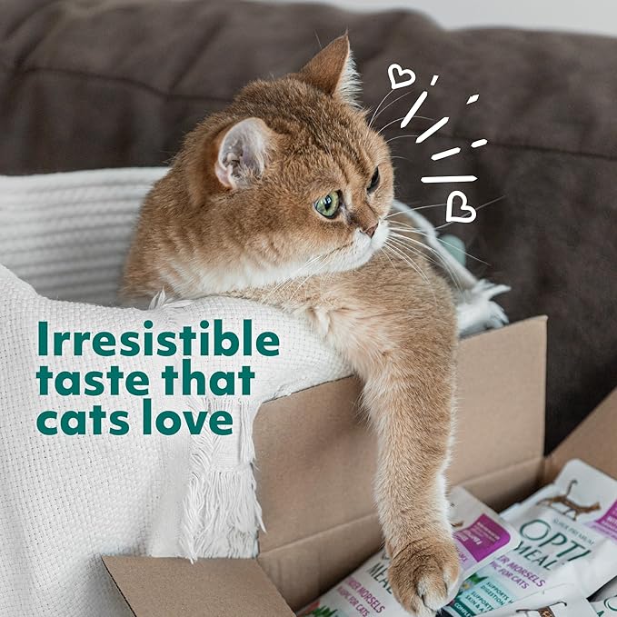 OPtimeal Skin & Sensitive Stomach Cat Food - Proudly Ukrainian - Healthy Cat Food Dry Recipe for Skin & Digestive Support, Tasty Dry Cat Food for Pets (8.8 lbs, Salmon & Brown Rice)