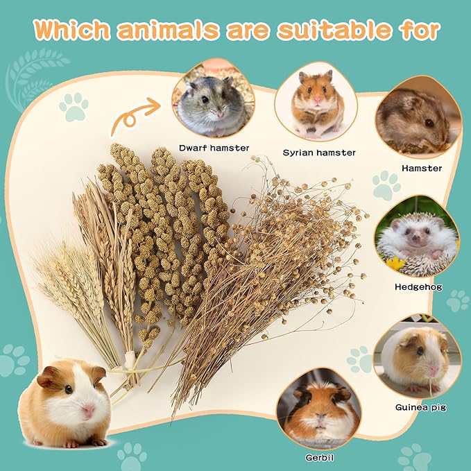 Hamster Spray Set - Natural Snack Grains & Chew Toys for Cage Decoration Accessories, Soft Bedding for Dwarf Syrian Hamsters, Gerbils, Mice & Small Pets
