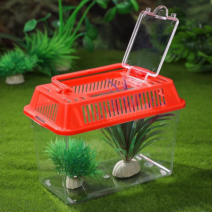 Portable Fish Tank, Handheld Fish Tank, Plastic Mini Fish Box, Transparent Cutout Design, Plastic Aquarium with Handle for Turtle and Pet Fish Lid for