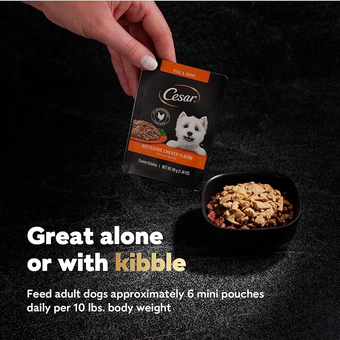 Cesar Filets in Gravy Wet Dog Food Filet Mignon Flavor, Rotisserie Chicken Flavor, and Wood-Grilled Chicken Flavor Variety Pack, 1.76 oz. Mini-Pouches (40 Count, Pack of 1)