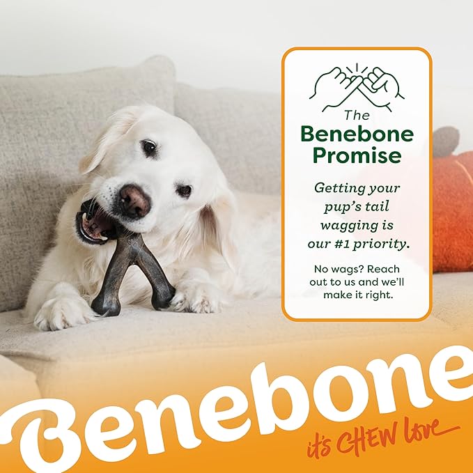 Benebone Pumpkin Spice Wishbone – Limited Edition Flavor, Durable Dog Chew Toy for Aggressive Chewers, Made in USA, Large