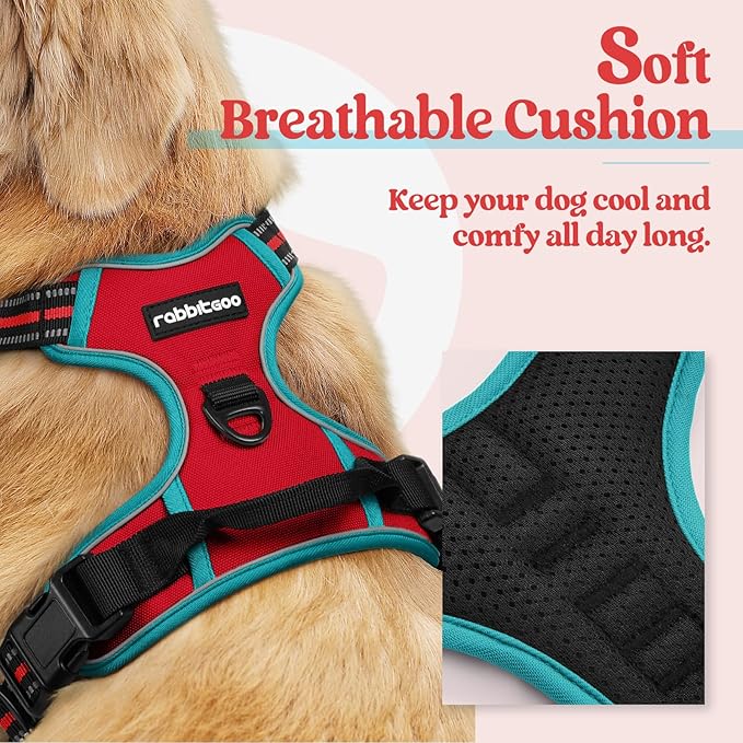 rabbitgoo Dog Harness No Pull with 2 Leash Clips, Adjustable Soft Padded, Reflective Oxford No Choke Pet Vest with Easy Control Handle for Medium Sized Dogs, Red & Teal, M