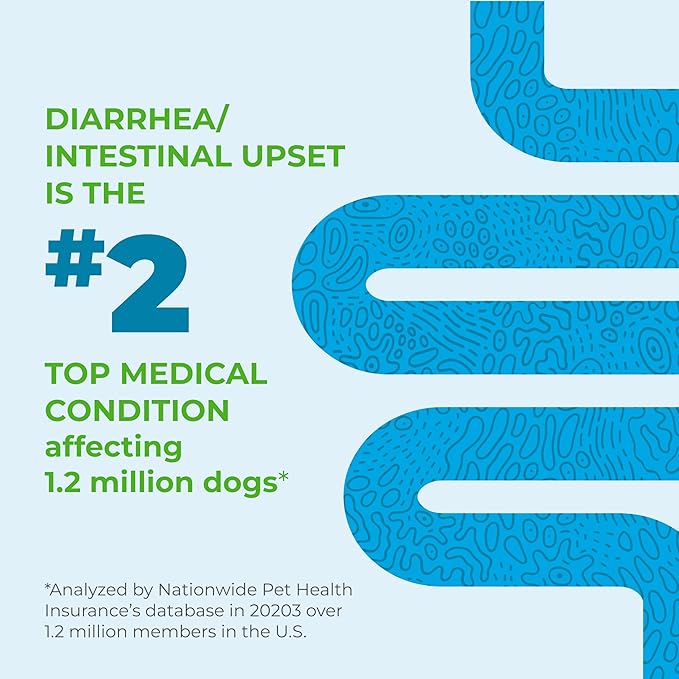 Vetnique Glandex Daily Probiotics for Dogs with Prebiotics to Support Gut Health with Fiber and Digestive Enzymes, Probiotic Chews or Powders (30ct Chews, Bacon Chews)