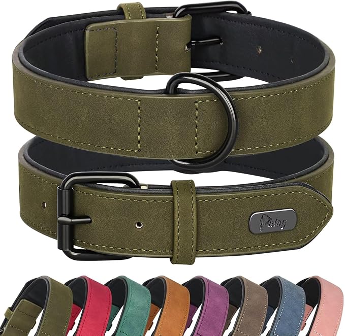 Didog Soft Padded PU Leather Dog Collar, Breathable and Adjustable Dog Collars for Medium Dogs, Comfortable for Daily Walk, Dark Green, L Fit Neck 13-17"(22-44 lbs)