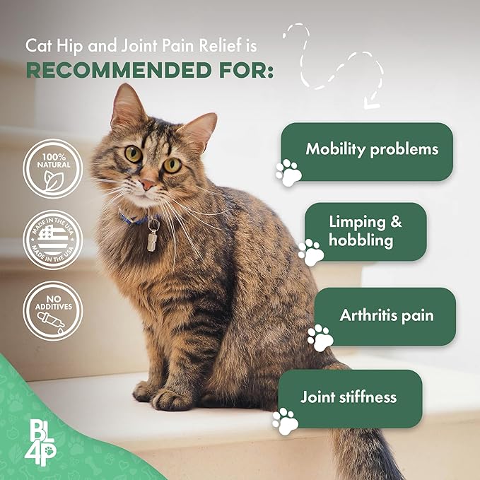 Cat Hip and Joint Pain Relief Supplement, Cat Arthritis Pain Relief, Heal from Sprains, Inflammation and Injuries, Improve Mobility, Natural Easy-to-Swallow, Odorless, Tasteless, 400 Pills