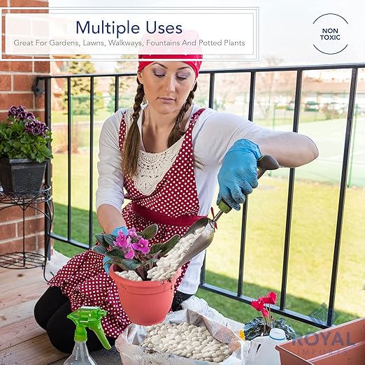 Royal Imports 5LB Decorative Stones River Pebbles Painting Rocks for Fish Aquariums, Plant Gravel, Landscaping, Home Decor Natural - Large White