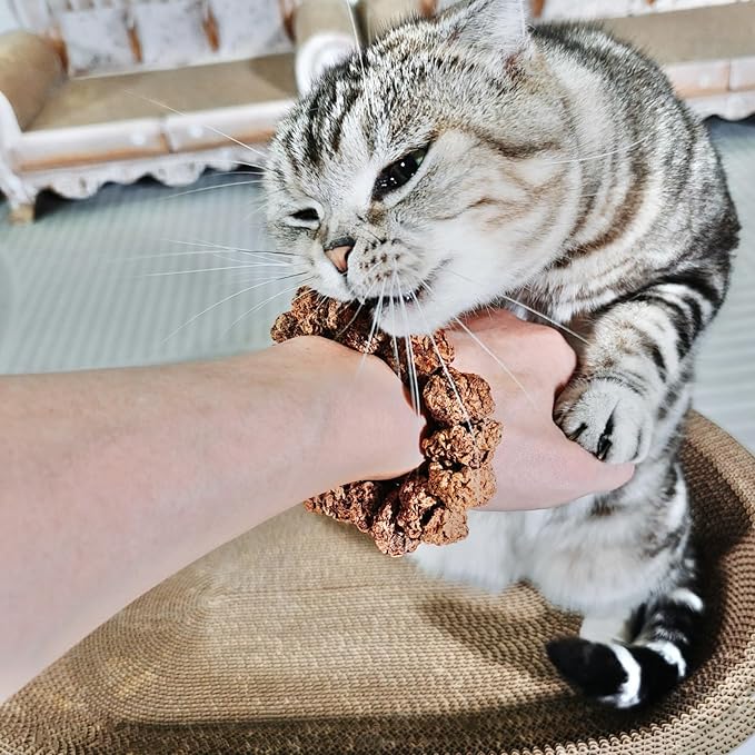 Natural Silvervine Gall Fruit Cat-Attracting Bracelet,Interactive Cat Toy for Indoor Cats,Cat Chew Toy with Gallfruit | Catnip & Silvervine Alternative, Stress Relief & Gift