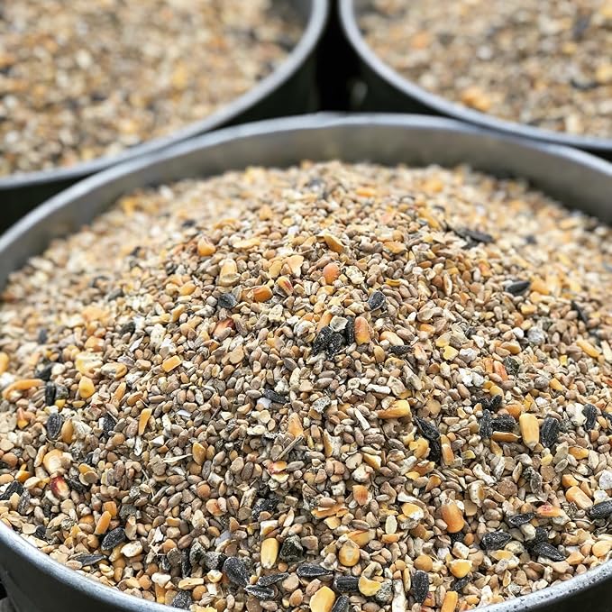 Non-GMO High-Protein Layer Blend 10 lb