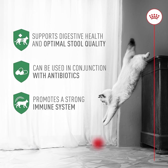 Royal Canin Probiotics for Cats Digestive and Immune Health Powder Supplement for Cats of All Ages, 7 Count