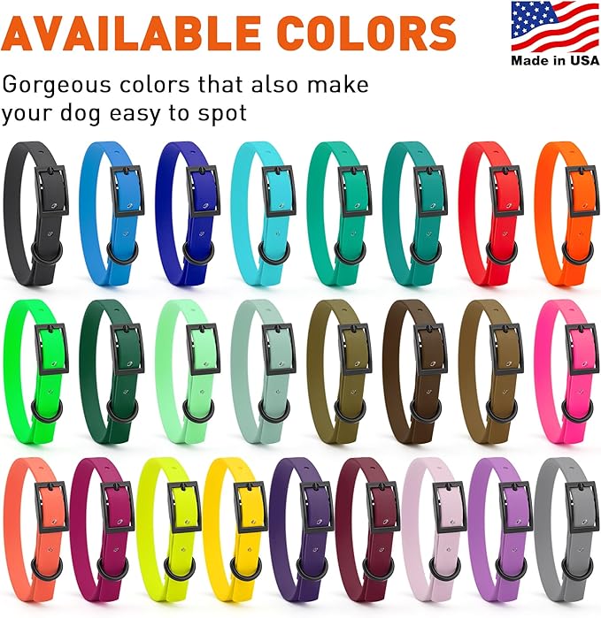 Dogline Biothane Waterproof Dog Collar Strong Coated Nylon Webbing with Black Hardware Odor- Proof for Easy Care Easy to Clean High Performance Fits Small Medium or Large Dogs, Blue Aqua