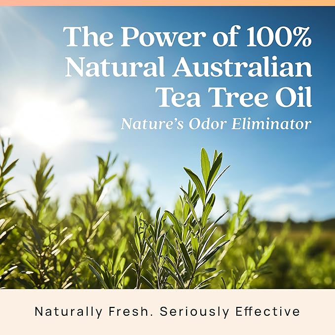 Azuna Air Freshener & Odor Eliminator for Strong Odor | 1 Room Kit Includes (1) Empty Luxe Glass Jar & 8oz Refill with Tea Tree Essential Oil Gel | Simply Citrus | Last 60-90 Days