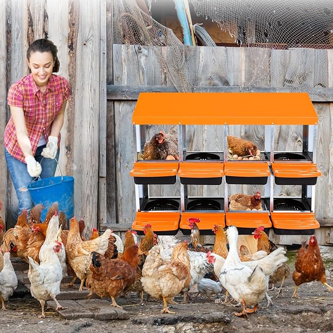 Chicken Nesting Box, 8 Hole 2 Layer Hen Nest Boxes, Roll Away Eggs Laying Boxes,Cleanable Pull Out Hen Roosting Boxes