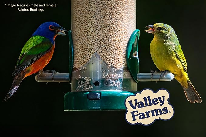 Valley Farms White Millet Wild Bird Seed 5 LB 2-Pack (10 LB Total) for Outside feeders, White proso Millet, Bird Watcher Secret Wild Bird Food