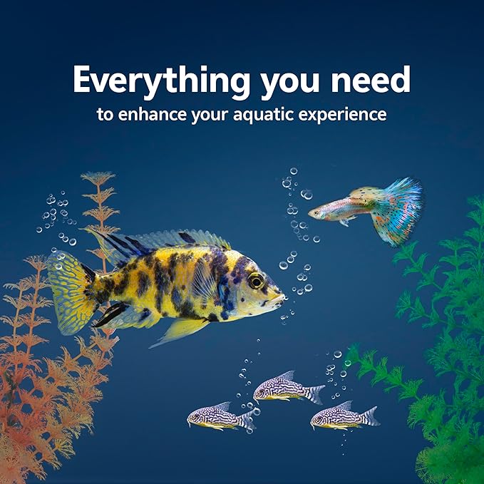 Aqueon 10 Gallon Aquarium Starter Kit with SmartClean Filtration and LED Lighting for Tropical Freshwater Fish