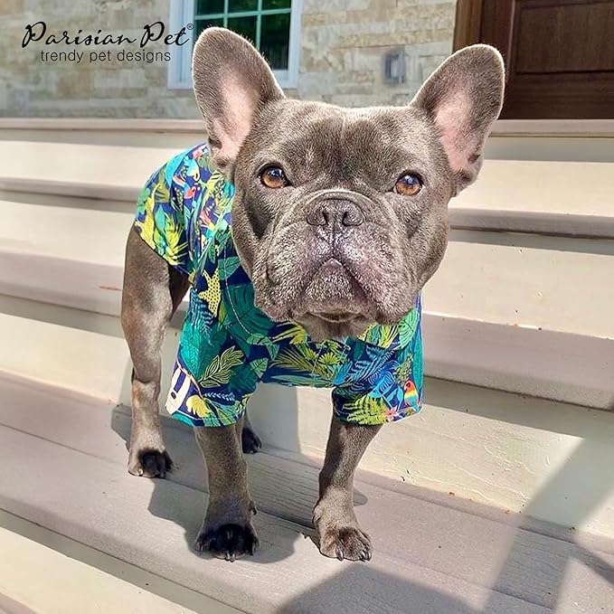 Parisian Pet Unisex Amazonia Shirt - Leafy Beach Outfit - Cotton Summer Clothes - Stylish Hook and Loop Dog Costume - Machine Washable for Large Dogs - XL