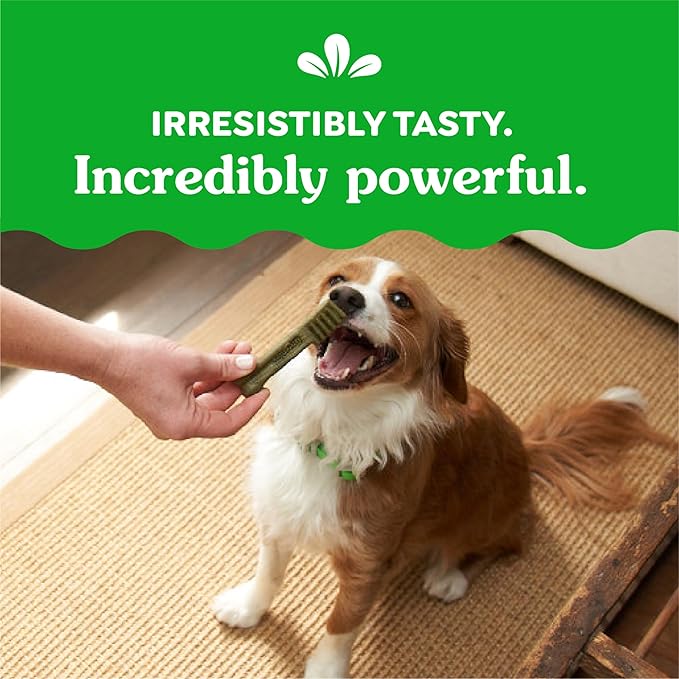 Greenies Petite Dental Dog Treats, Sweet Potato Flavor, 12 oz. Pack (20 Treats)