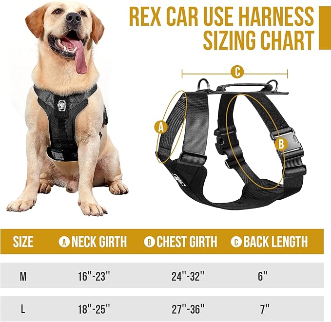 OneTigris Dog Safety Vest Harness, REX Car Use Dog Harness Adjustable Pet Harness with Leash for Medium Large Dogs(Black,L)