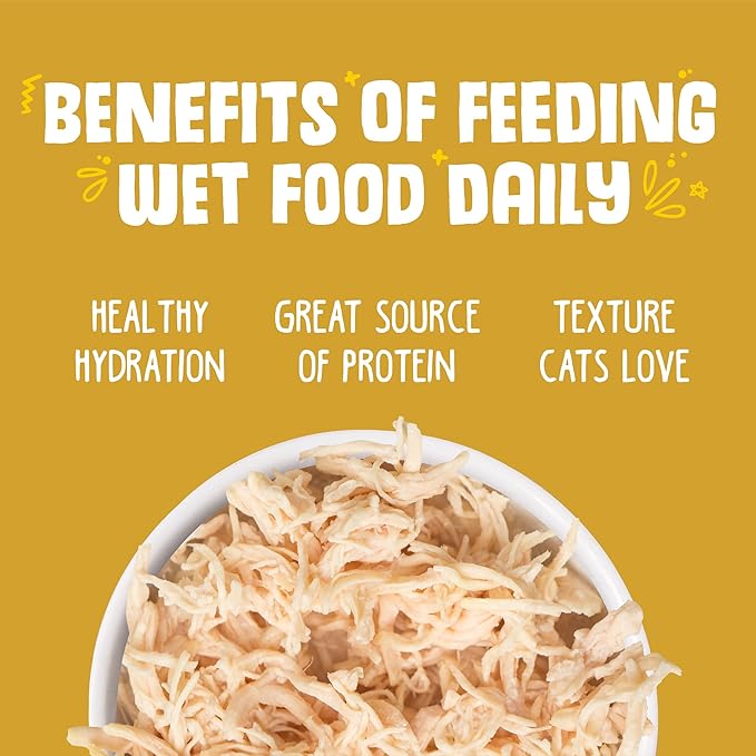 Weruva Classic Cat Food, Paw Lickin’ Chicken with Chicken Breast in Gravy, 3oz Can (Pack of 24)