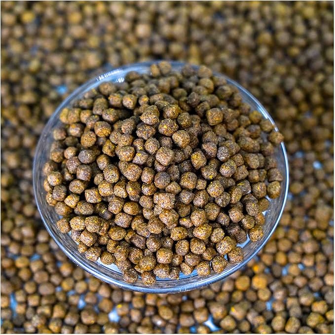 Natural Waterscapes Game Fish Food Variety | Pond and Lake Fish Food Pellets | 22 lb Bag | Feed to Bass, Bluegill, Trout, Catfish, tilapia | Floating Pellets