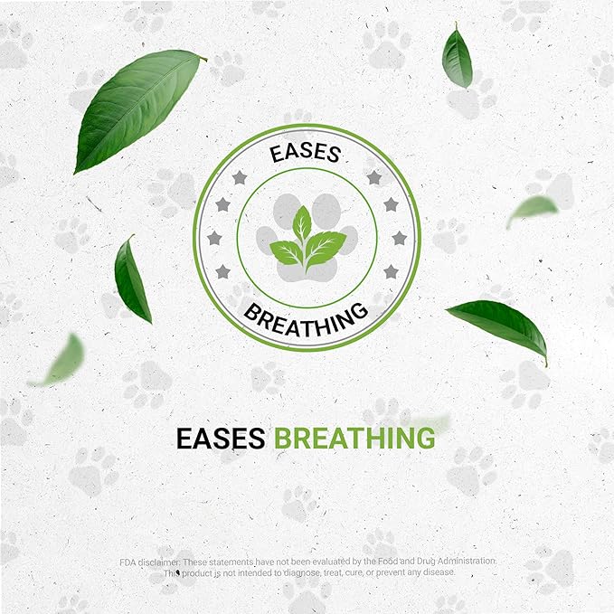 Birds Respiratory | Natural Herbal Dietary Pet Supplement for Birds | Healthy Respiratory System Support | Alcohol-Free Extract, Horehound, Linden, Peppermint, Elder Flowers, Fennel 2 oz