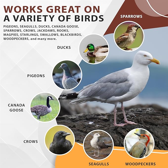 Bird Repellent Spray Bundle, Ready to Use Bird Spray 32oz + Concentrate 4oz Refill