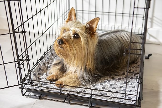 Caldwell's Pet Supply Co. 18x24 Potty Pads, Washable Pee Pads for Dogs, Reusable Pee Pad for Dogs, Puppy Potty Mat, Whelping Rug, Reusable Puppy Mat, Small (Set of 4)