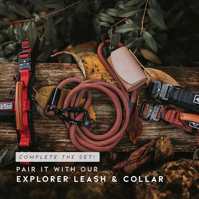 MADE TO ROAM Premium Explorer Harness - Y-Shaped Dog Harness with Adjustable Durable Nylon, Soft Padding, Metal Buckles and Leather Handle for Small, Medium, Large Dogs (Oregon Haze, Size 3)