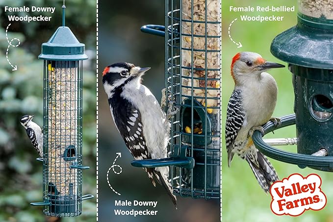 Valley Farms Woodpecker Mix (15 LB) Wild Bird Food for Outdoor Feeders, No Mess Bird Seed, W/Peanuts and Sunflower Hearts for Birds, Woodpecker Food, Attract All Bird Species