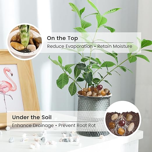 SIDONG 10 LB Mixed River Rocks, 0.3-0.5 Inches High Polished Pebbles for Indoor Plants, Aquarium Rocks Used in Fish Tank, Decorative Stones for Plants, Vases, Home Décor, Crafting, Garden Landscaping