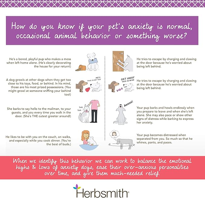 Herbsmith Calm Shen – Herbal Blend for Dogs & Cats – Natural Anxiety Remedy for Dogs & Cats – Feline and Canine Calming Supplement – 500g Powder