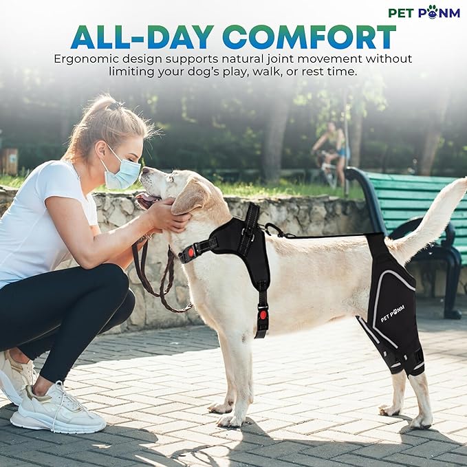 Comfortable Dog Knee Brace for Both Hind Legs with Harness - for ACL Tear, Luxating Patellae, Osteoarthritis & Instability - for Recovery & Injury Prevention in Active/Aging Dogs - (XLarge)