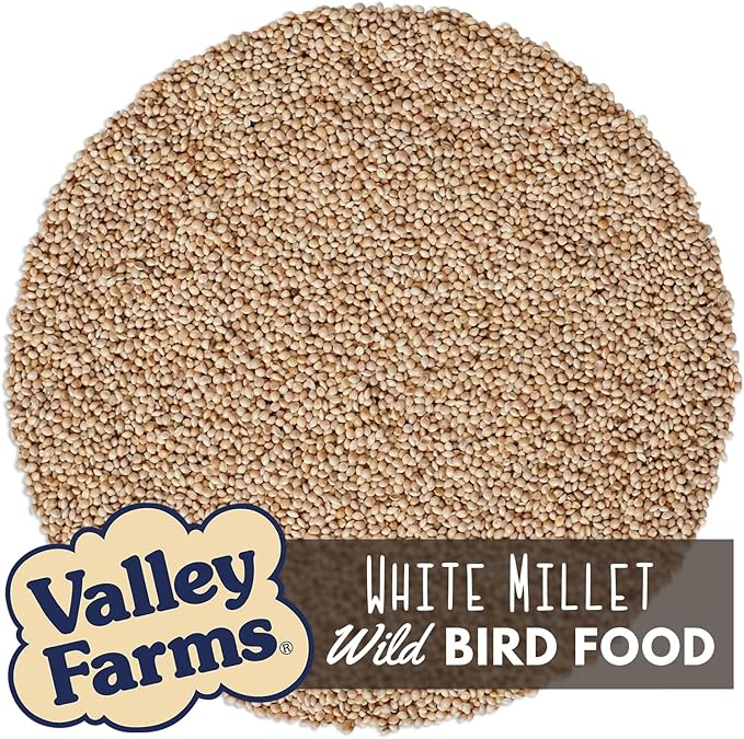 Valley Farms White Millet Wild Bird Seed 5 LB 2-Pack (10 LB Total) for Outside feeders, White proso Millet, Bird Watcher Secret Wild Bird Food
