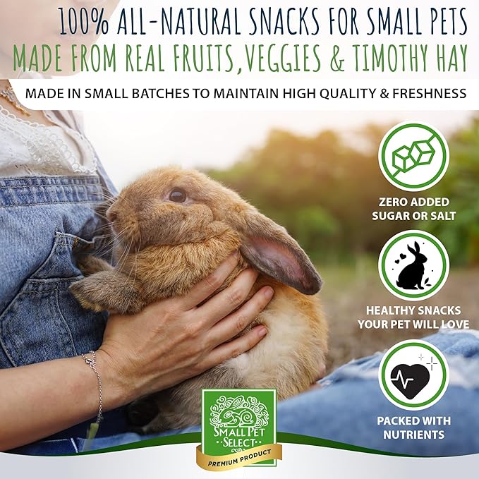 Small Pet Select - Healthy Snackers - Banana