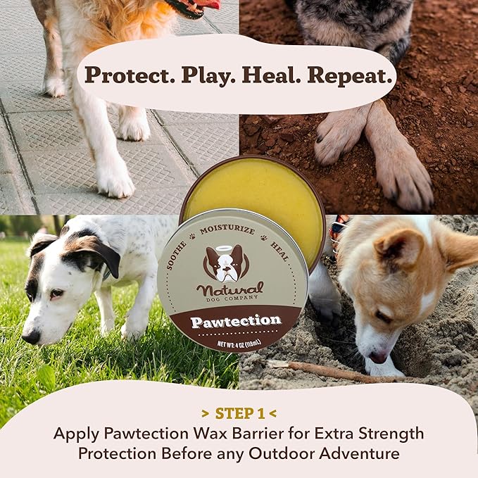Natural Dog Company Paw Soother Balm & Wax for Dogs, Moisturizing Relief for Dry, Cracked Paws, Lick-Safe,Repairs & Heals, Protects Against Extreme Weather, Coconut Oil & Vitamin E, 1 oz Tin