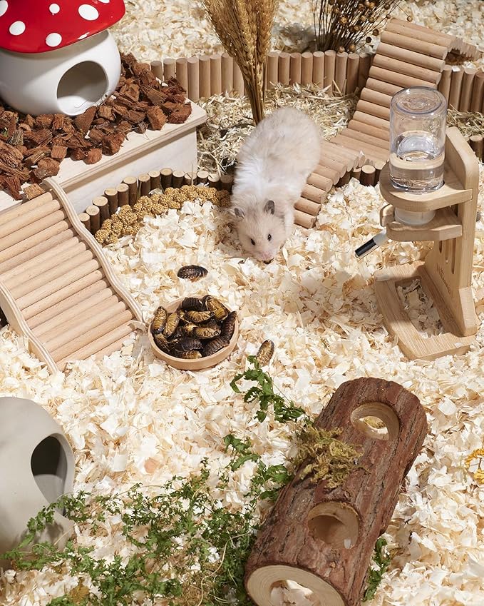 Niteangel Small Animal Snack & Treats - Small Critter Natural Treat for Dwarf Syrian Hamsters Gerbils Mice Sugar Glider Hedgehogs Chickens Birds (Freeze-Dried Dubia)