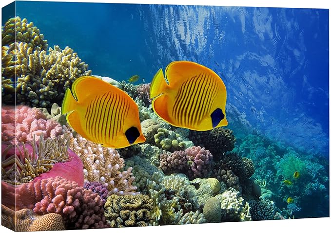 wall26 Canvas Print Wall Art Tropical Yellow Fish with Vibrant Coral Reef Nature Ocean Photography Realism Nautical Scenic Relax/Calm Multicolor Ultra for Living Room, Bedroom, Office - 24"x36"