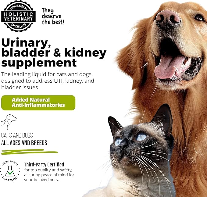 Cat & Dog Urinary Tract Treatment, Bladder & Kidney Support for Dogs and Cats, Powerful Yet Gentle Pet Care, with Liquid Cranberry & Glucosamine, Salmon Flavor, 6 oz Bottle, 1 Pack