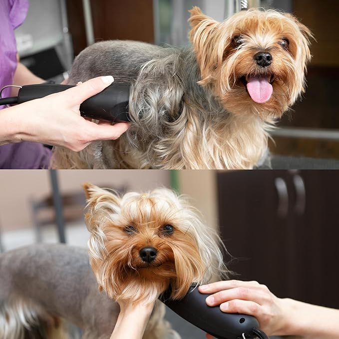 Detachable A Series 3/4 Blade Dog Grooming Cut Length 3/4" - 19mm Ideal for Large Trimming Areas Japanese Carbonized Steel Dog 19mm Replacement Blades | Compatible A5 Series(34HT)