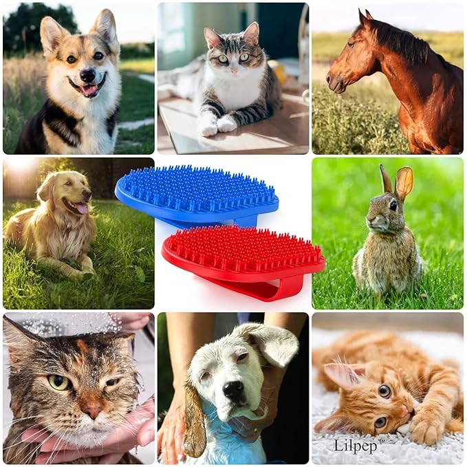 Lilpep Dog Bath Brush, Rubber Pet Shampoo Brush with Silicone Bristles for Massaging Grooming, Removing Short Haired Dogs Cats Shedding, Tangles and Dead Undercoat (Blue, plum brush)