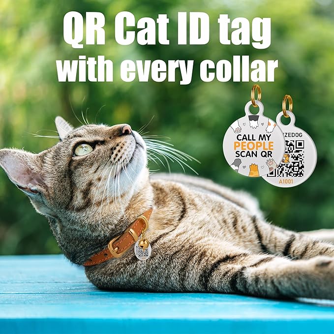 BRONZEDOG Leather Cat Collar with Removable Bells Non Breakaway Kitten QR Tag for Girl Boy (9" - 12" Cats/Mini Dogs, Black & Silver)