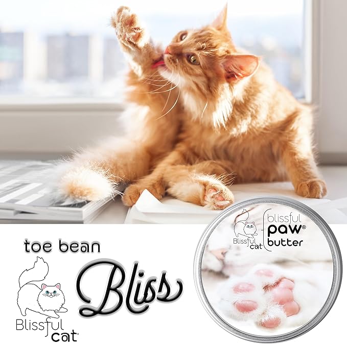 The Blissful Cat Paw Butter, Moisturizer for Dry Paw Pads, Softens and Protects a Rough Paw, Versatile, Lick-Safe Cat Paw Balm, 1 oz.