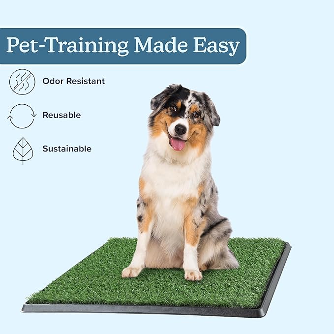 Artificial Grass Puppy Pee Pad for Dogs and Small Pets - 20x25 Reusable 3-Layer Potty Training Pad with Tray - Dog House and Pet Supplies by PETMAKER