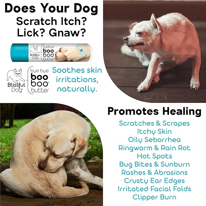 Shiba Inu Boo Boo Butter, 16-Ounce