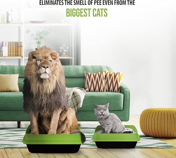 Skoon All Natural Cat Litter (1 Bag) - Original - Lightweight, Low Tracking, Non-Clumping Diatom Pebbles Absorb, Lock, and Seal Waste for Best Odor Control