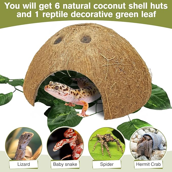 Hamiledyi 7 Pcs Reptile Hideouts Natural Coconut Shells Hut Leopard Gecko Tank Accessories for Hermit Crab Small Snake Tarantulas Lizard Chameleon Small Animal Hide Cave (with Fiber)
